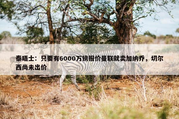 泰晤士：只要有6000万镑报价曼联就卖加纳乔，切尔西尚未出价