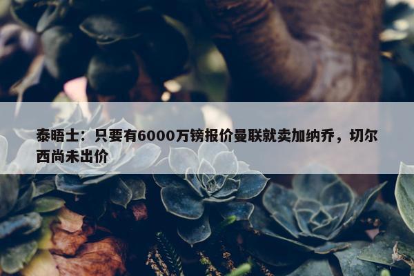 泰晤士：只要有6000万镑报价曼联就卖加纳乔，切尔西尚未出价