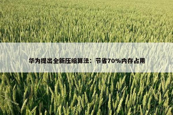 华为提出全新压缩算法：节省70%内存占用