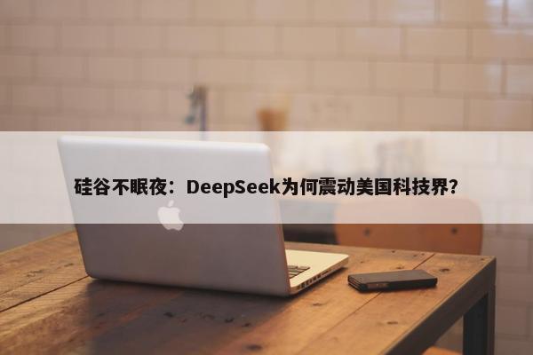 硅谷不眠夜：DeepSeek为何震动美国科技界？