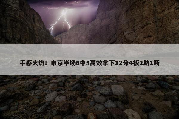 手感火热！申京半场6中5高效拿下12分4板2助1断