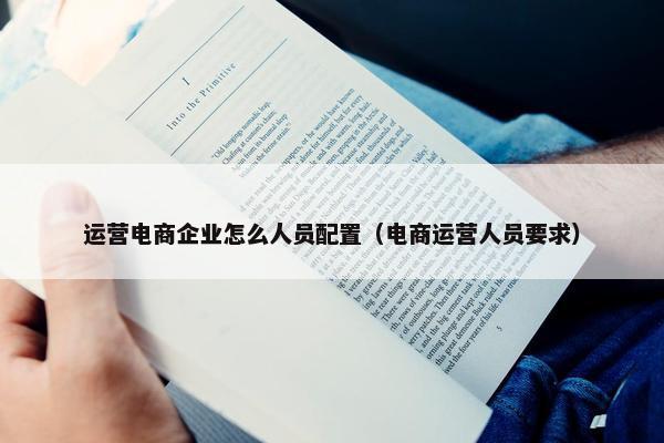 运营电商企业怎么人员配置（电商运营人员要求）