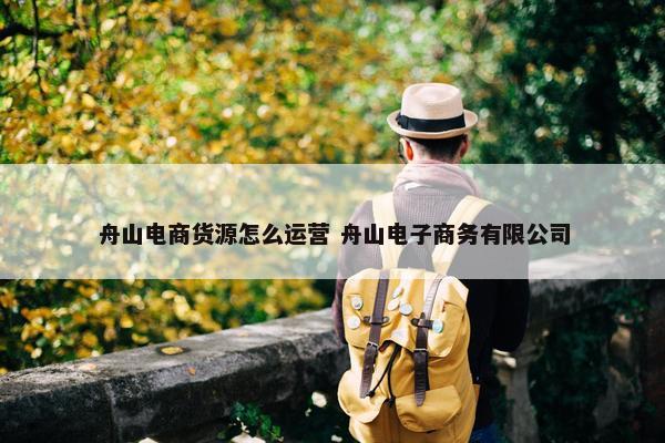 舟山电商货源怎么运营 舟山电子商务有限公司