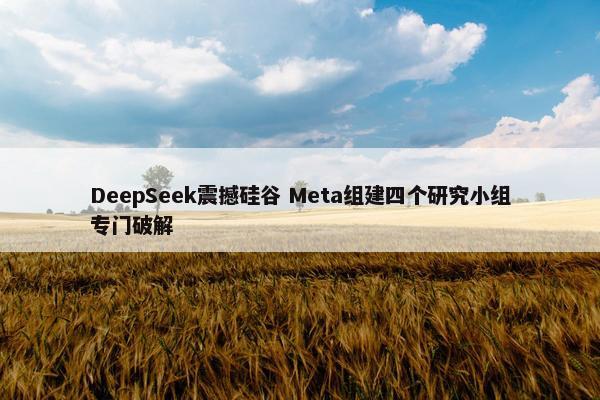 DeepSeek震撼硅谷 Meta组建四个研究小组专门破解