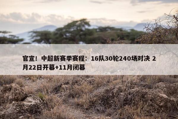 官宣！中超新赛季赛程：16队30轮240场对决 2月22日开幕+11月闭幕