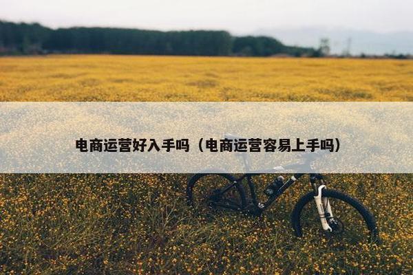 电商运营好入手吗（电商运营容易上手吗）