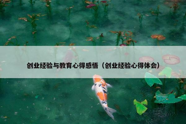 创业经验与教育心得感悟（创业经验心得体会）