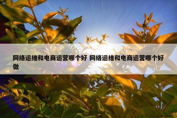 网络运维和电商运营哪个好 网络运维和电商运营哪个好做