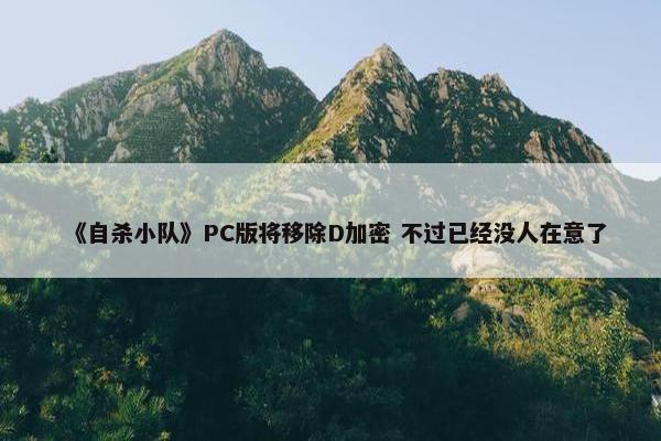 《自杀小队》PC版将移除D加密 不过已经没人在意了