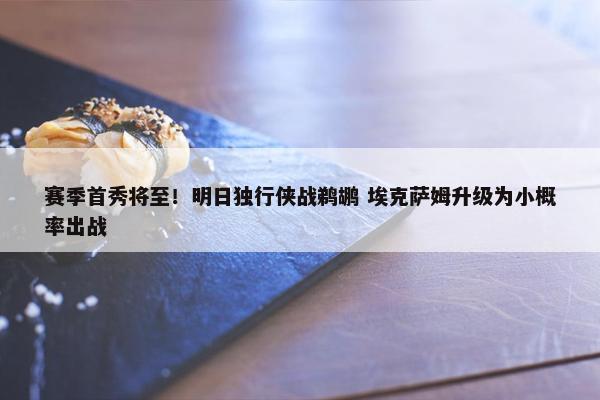 赛季首秀将至！明日独行侠战鹈鹕 埃克萨姆升级为小概率出战