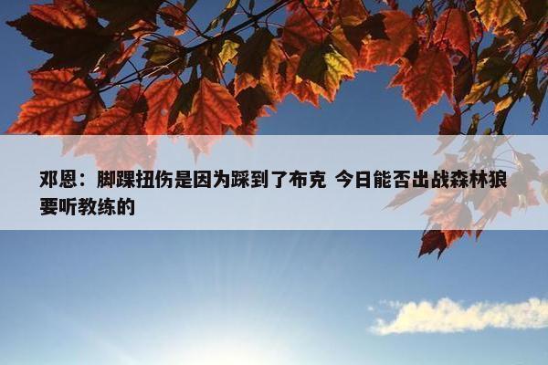 邓恩：脚踝扭伤是因为踩到了布克 今日能否出战森林狼要听教练的