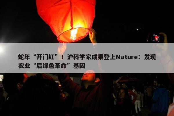 蛇年“开门红”！沪科学家成果登上Nature：发现农业“后绿色革命”基因