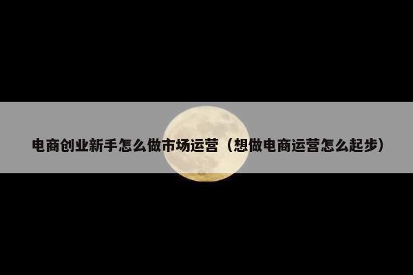 电商创业新手怎么做市场运营（想做电商运营怎么起步）