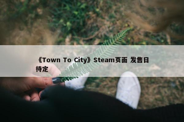 《Town To City》Steam页面 发售日待定