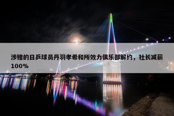 涉赌的日乒球员丹羽孝希和所效力俱乐部解约，社长减薪100%