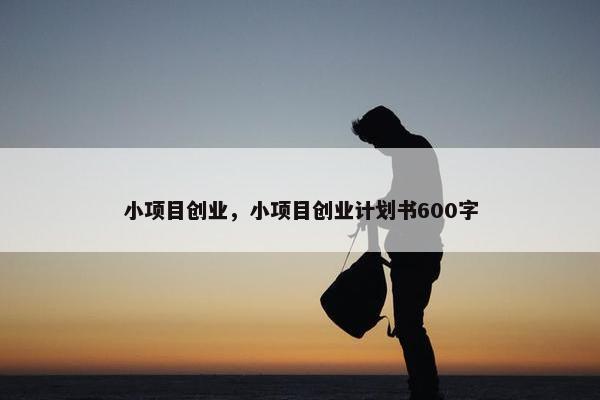 小项目创业，小项目创业计划书600字