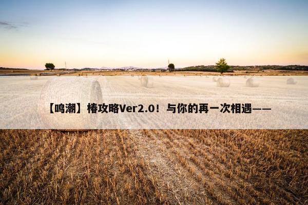 【鸣潮】椿攻略Ver2.0！与你的再一次相遇——