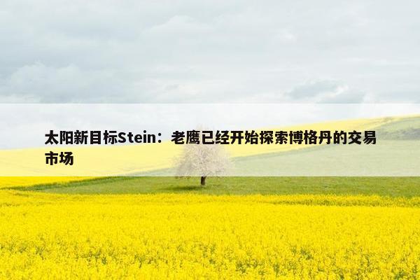 太阳新目标Stein：老鹰已经开始探索博格丹的交易市场