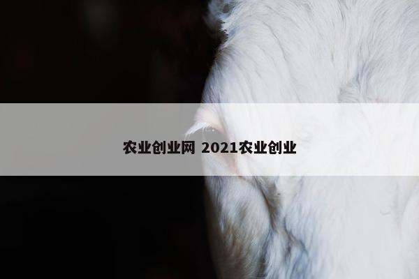 农业创业网 2021农业创业