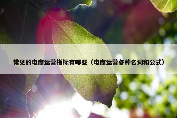 常见的电商运营指标有哪些（电商运营各种名词和公式）