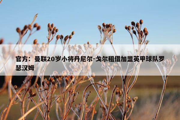 官方：曼联20岁小将丹尼尔-戈尔租借加盟英甲球队罗瑟汉姆