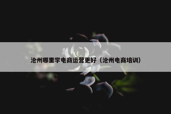 沧州哪里学电商运营更好（沧州电商培训）