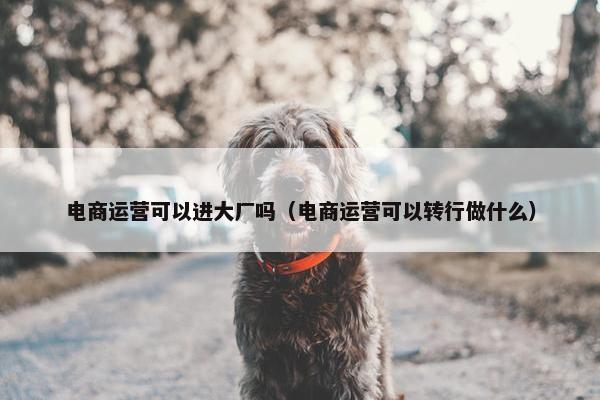 电商运营可以进大厂吗（电商运营可以转行做什么）