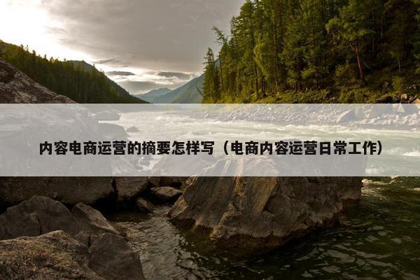 内容电商运营的摘要怎样写（电商内容运营日常工作）