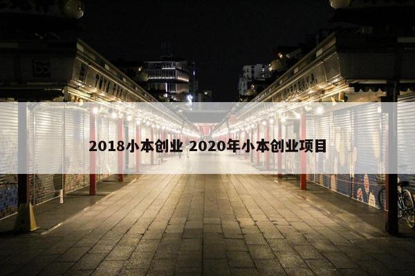 2018小本创业 2020年小本创业项目