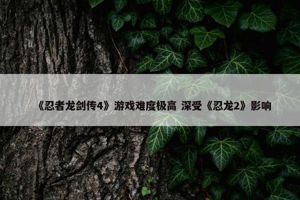 《忍者龙剑传4》游戏难度极高 深受《忍龙2》影响