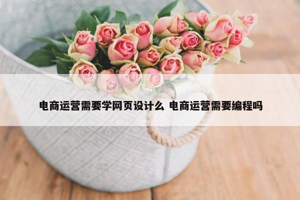 电商运营需要学网页设计么 电商运营需要编程吗