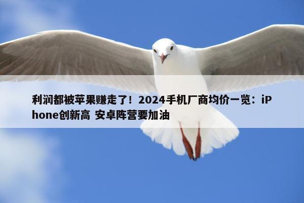 利润都被苹果赚走了！2024手机厂商均价一览：iPhone创新高 安卓阵营要加油