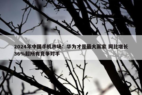 2024年中国手机市场：华为才是最大赢家 同比增长36%超所有竞争对手