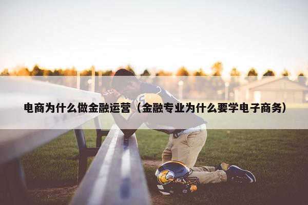 电商为什么做金融运营（金融专业为什么要学电子商务）