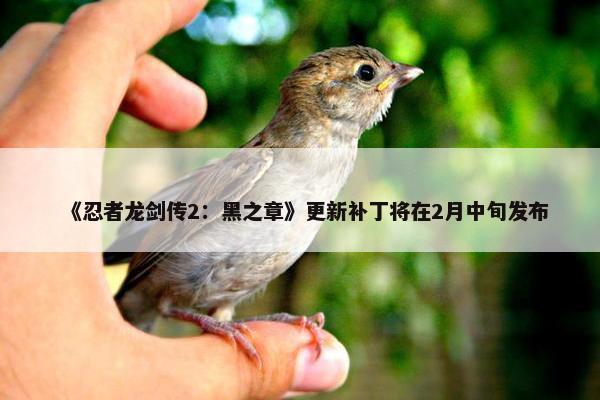 《忍者龙剑传2：黑之章》更新补丁将在2月中旬发布