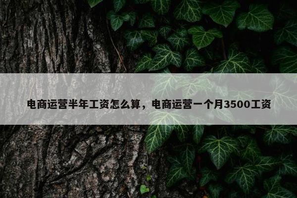 电商运营半年工资怎么算，电商运营一个月3500工资