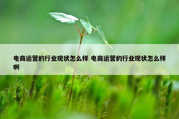 电商运营的行业现状怎么样 电商运营的行业现状怎么样啊