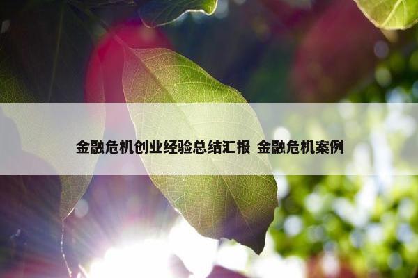 金融危机创业经验总结汇报 金融危机案例