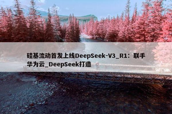 硅基流动首发上线DeepSeek-V3_R1：联手华为云_DeepSeek打造