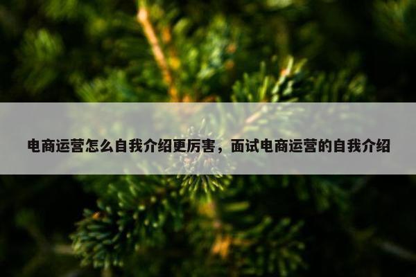 电商运营怎么自我介绍更厉害，面试电商运营的自我介绍