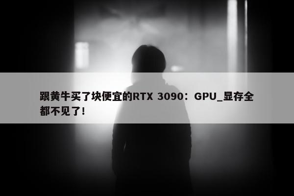 跟黄牛买了块便宜的RTX 3090：GPU_显存全都不见了！