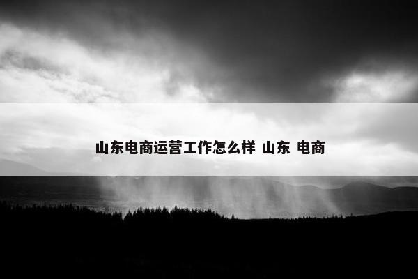 山东电商运营工作怎么样 山东 电商