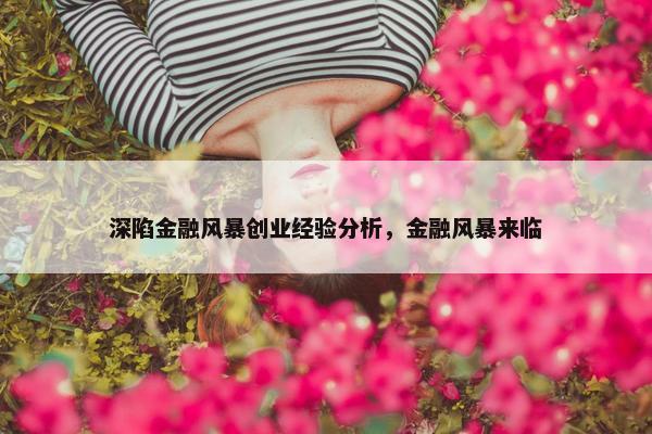 深陷金融风暴创业经验分析，金融风暴来临