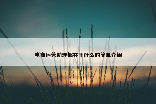 电商运营助理都在干什么的简单介绍