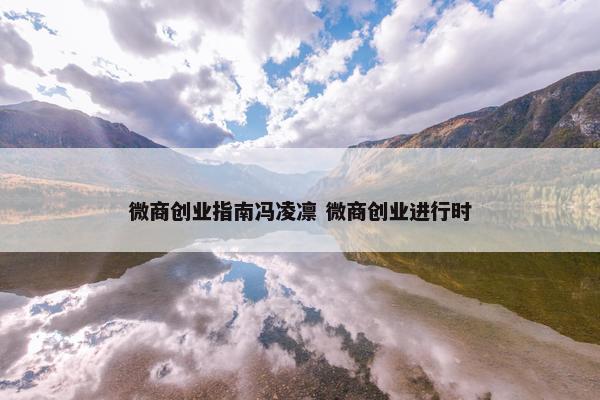 微商创业指南冯凌凛 微商创业进行时