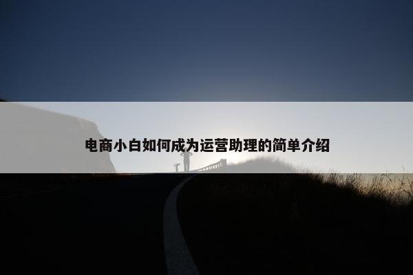 电商小白如何成为运营助理的简单介绍