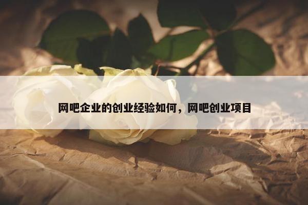 网吧企业的创业经验如何，网吧创业项目