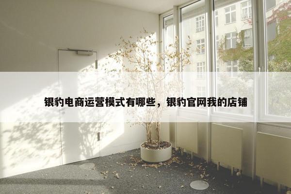 银豹电商运营模式有哪些，银豹官网我的店铺