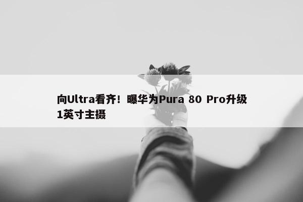 向Ultra看齐！曝华为Pura 80 Pro升级1英寸主摄