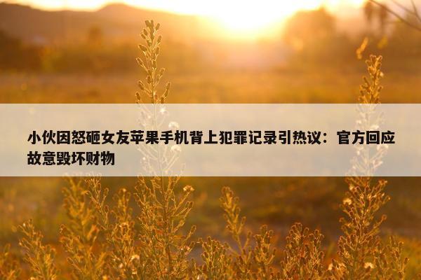 小伙因怒砸女友苹果手机背上犯罪记录引热议：官方回应故意毁坏财物